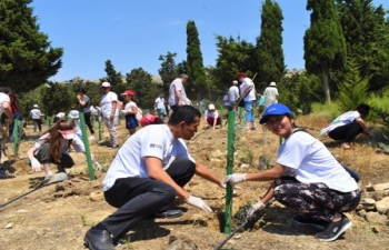 Tree Planting Drive to mark the celebrations of the  150th Birth Anniversary of Mahatma Gandhi